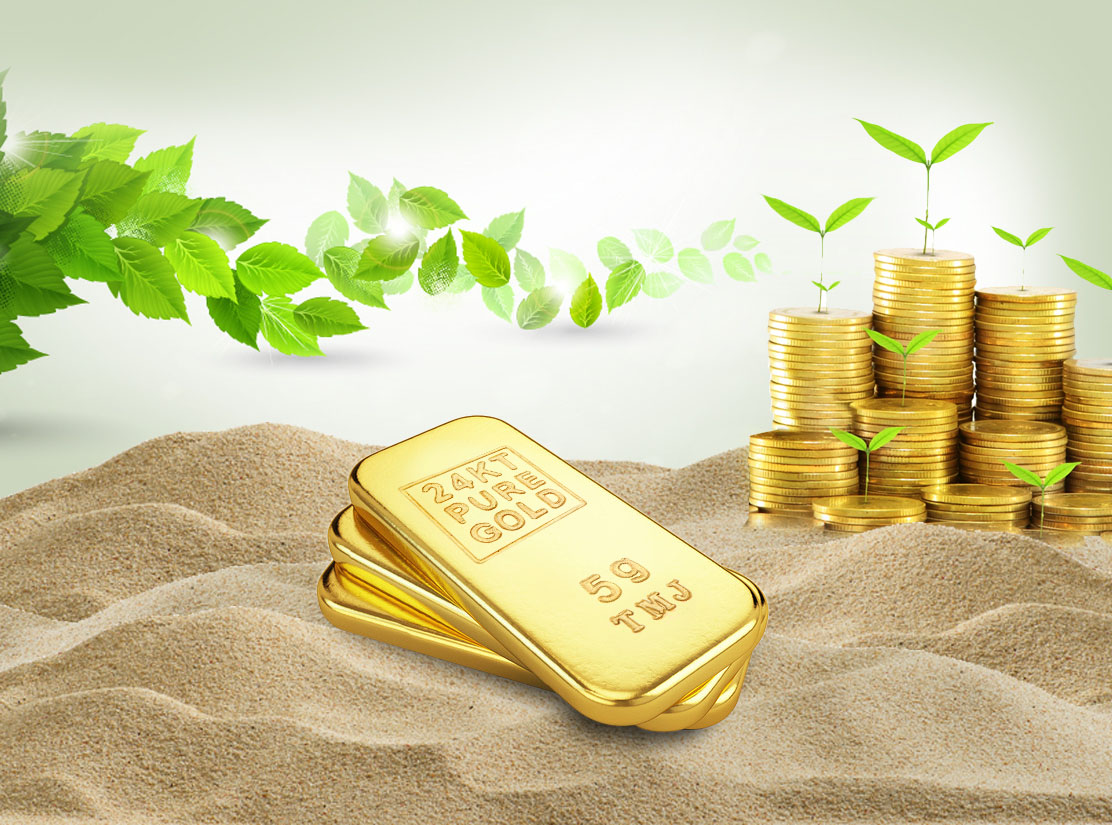 5 Reasons Why You Must Invest In Gold Coins