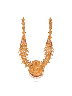 Exciting Nagas Fancy Malai