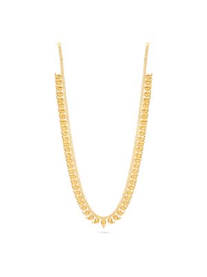 Delhi Mango Charm Malai