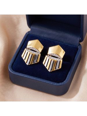 Modern Dual Tone Gold Earrings