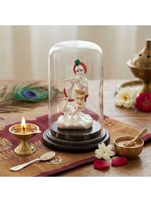 Divine Krishna Silver Idol