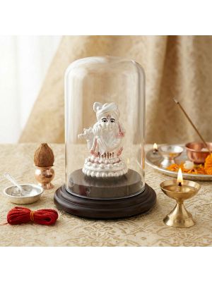 Divine Krishna Silver Idol