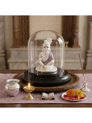Divine Krishna Silver Idol