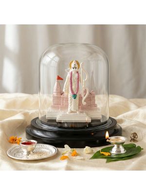 Divine Ayodhya Ramar Silver Idol