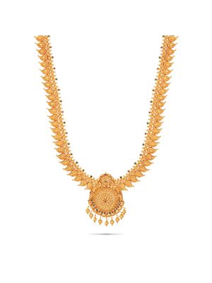 Exciting Gold Fancy Haram-hover