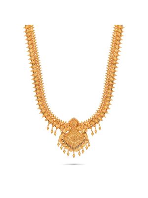Enticing Gold Haram-hover