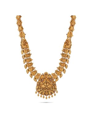 Exciting Nagas Gold Malai-hover