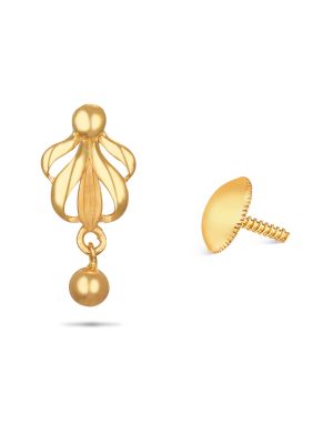 Elegant Gold Earring-hover