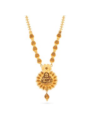 Mesmerising Traditional Necklace-hover
