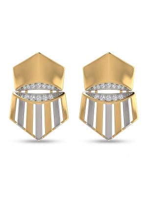Modern Dual Tone Gold Earrings-hover