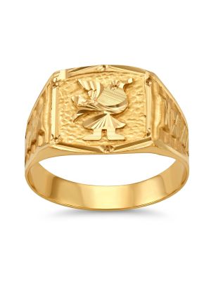Avian Shield Signet Gold Ring-hover