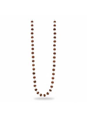 Silver Rudraksha Mala Chain-hover