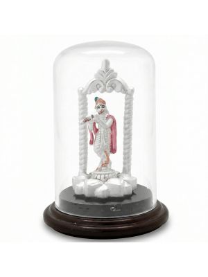 Divine Krishna Silver Idol-hover