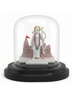 Divine Ayodhya Ramar Silver Idol-hover