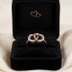 Romantic Dual Heart Rose Diamond Ring