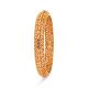 Stunning Gold Bangle