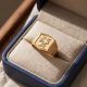Radiant Avian Motif Gold Ring