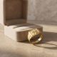Bold Bird Frond Signet Gold Ring