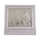 Lakshmi Ganesh Silver Frame