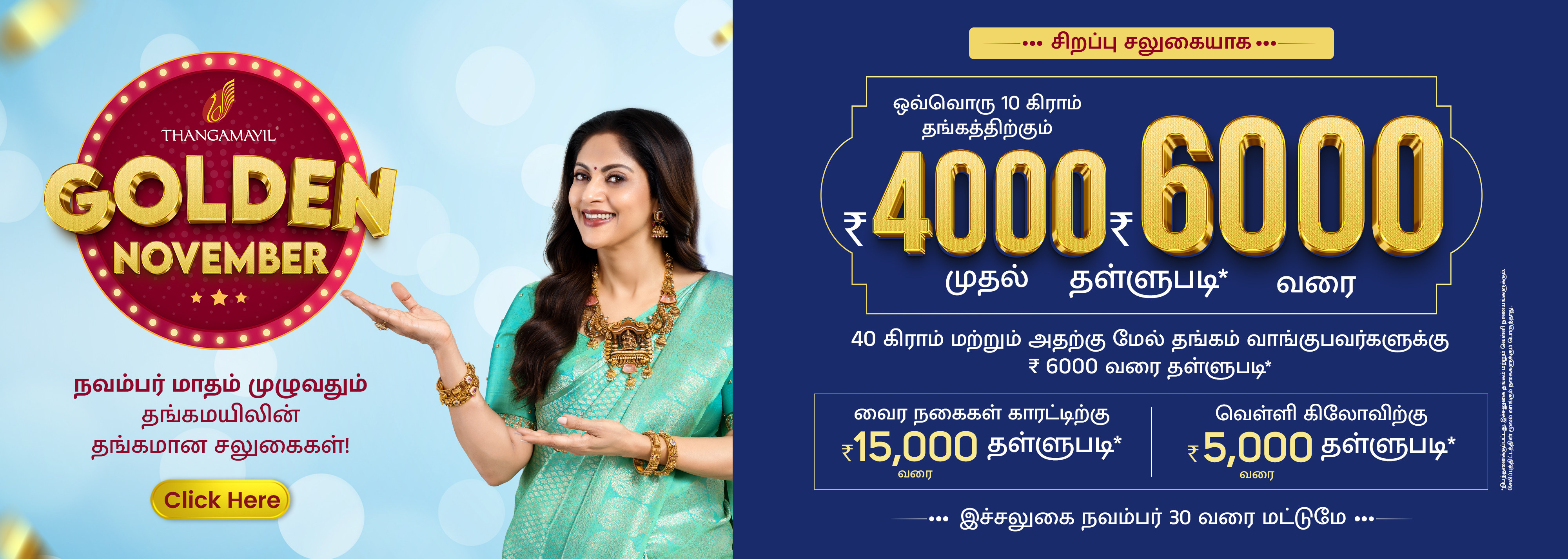 Golden November Offer - 2025